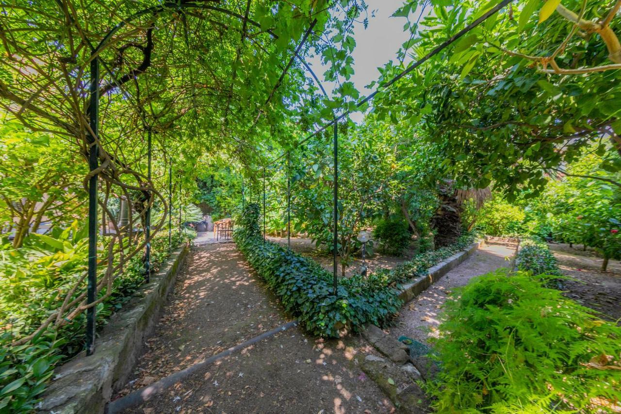 Villa Mezzarancia Palermo Exteriör bild